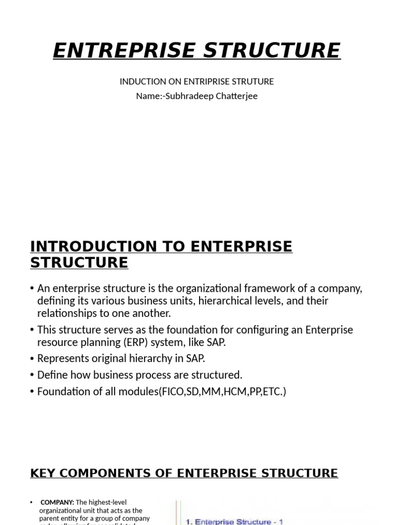 Understanding Enterprise Structure in SAP | PDF | Human Resource ...