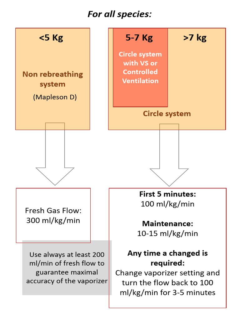 Vaporizer Flow Rates for Anesthesia | PDF