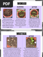 Step-by-Step Guide to Growing Monggo | PDF
