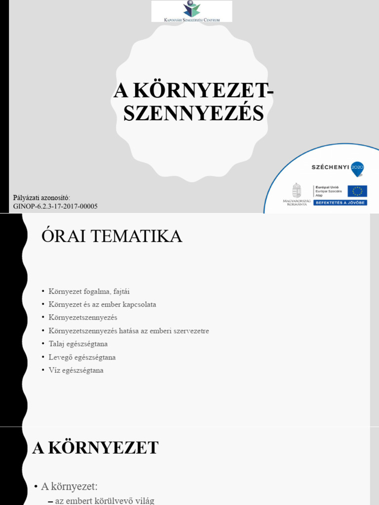 A Környezet Szennyezés Formái És Az Egészségre Gyakorolt MÓDOSÍTOTT | PDF