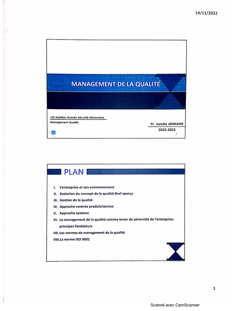Management de La Qualité Partie 1 | PDF