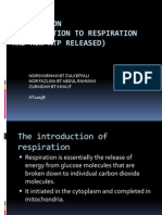 Respiration