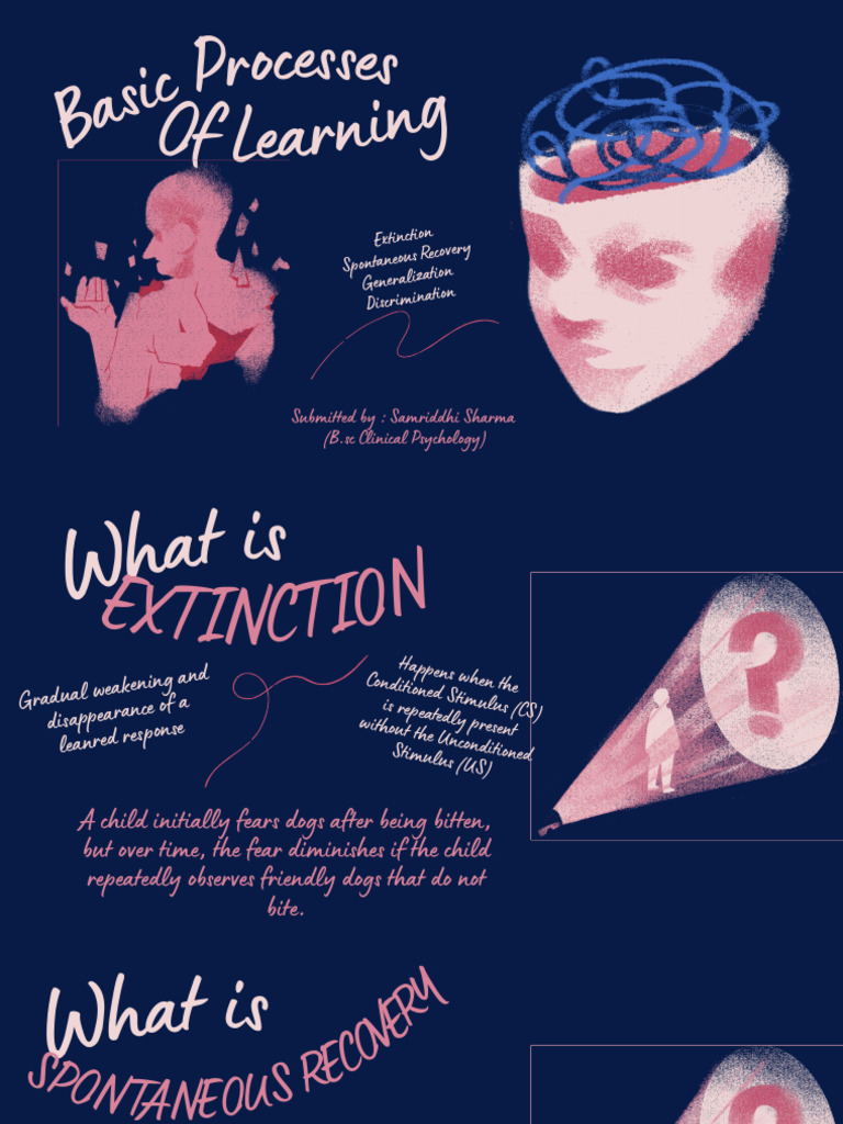 Basic Processes of Learning - Advance General Psychology - 20250930 ...