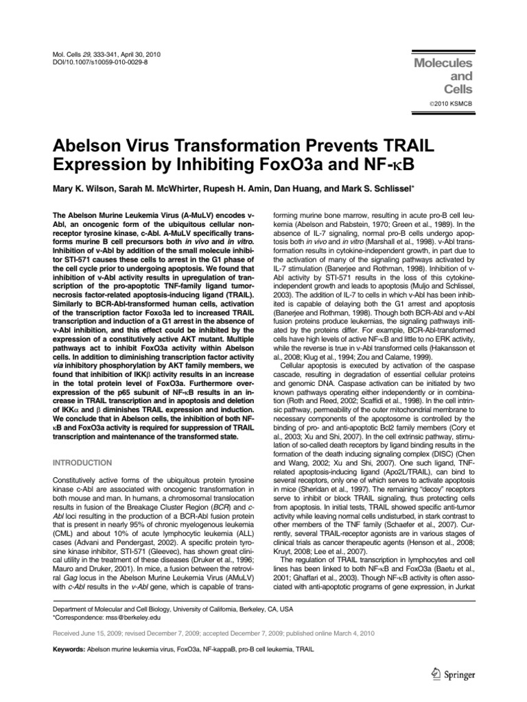 Abelson Virus Inhibits TRAIL via FoxO3a | PDF | Nf κb | Protein Kinase B
