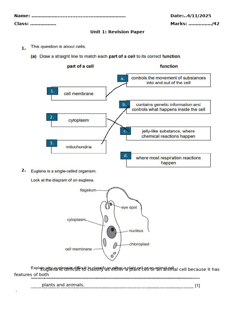 Grade 6 Unit 1 Revision Paper | PDF