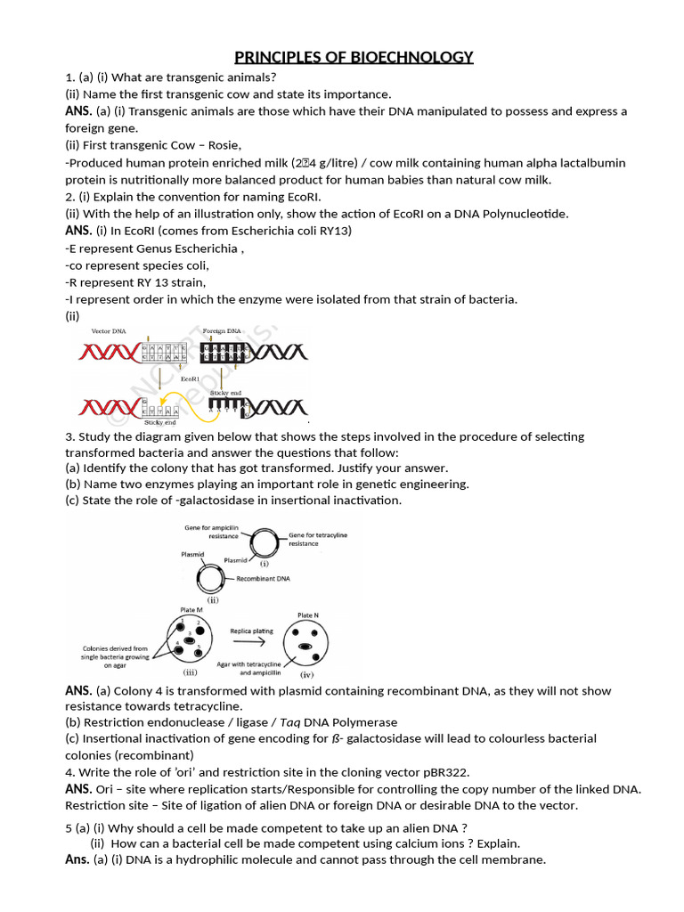 Principles of Biotechnology | PDF | Molecular Cloning | Polymerase ...