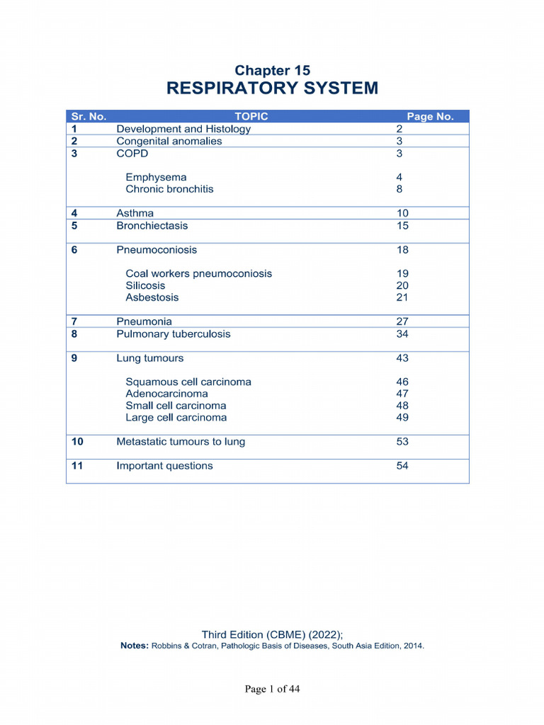 Chapter 15 Respiratory System | PDF