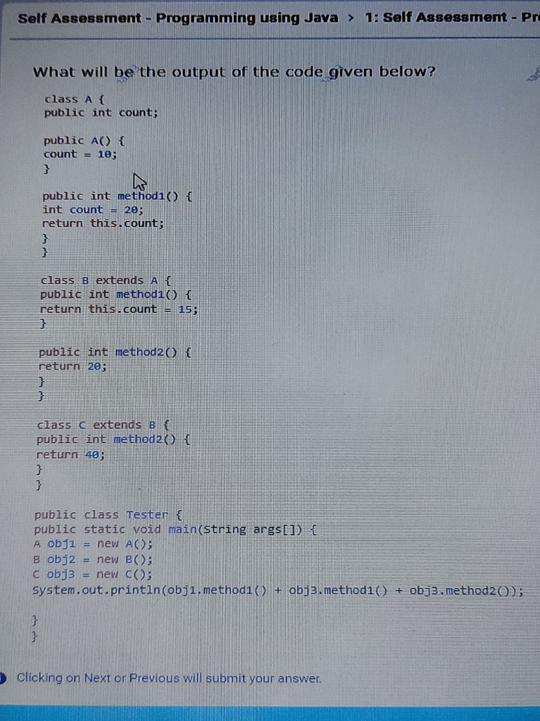 Self Assessment - Programming | PDF