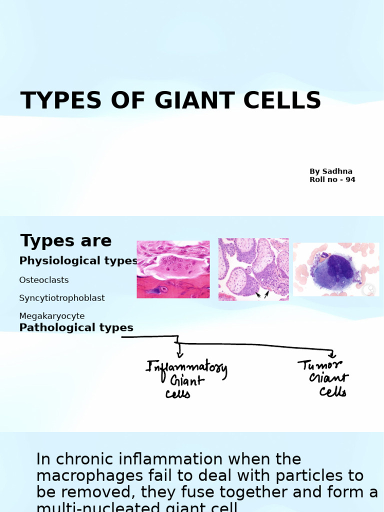 Types of Giant Cells Explained | PDF