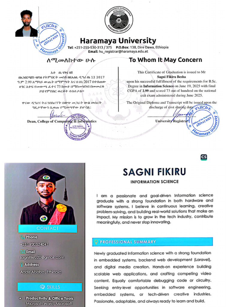 Sagni Tempo & CV | PDF