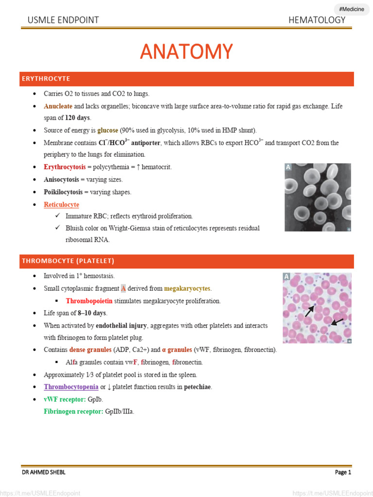 USMLE Hematology Overview Guide | PDF | Coagulation | Platelet