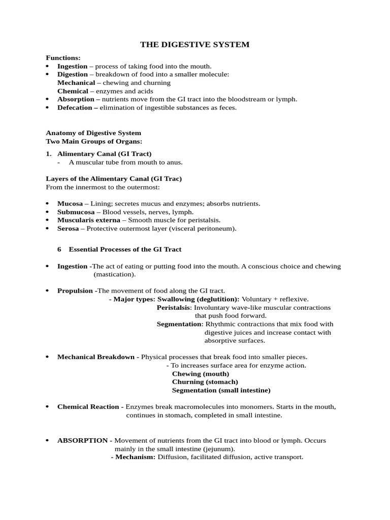 The Digestive System | PDF | Stomach | Digestion