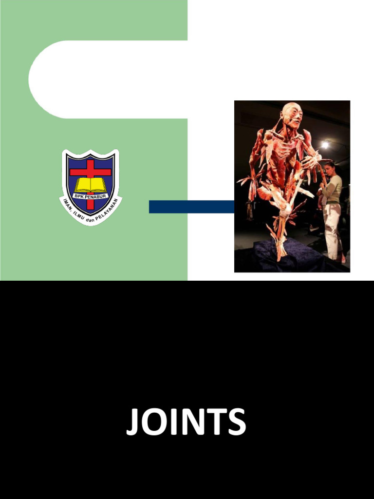 Understanding Joints and Arthritis Types | PDF