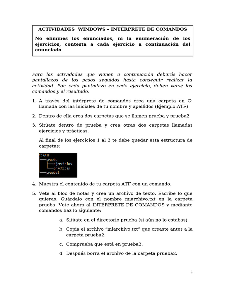 Actividades de Carpeta en Windows CMD | PDF
