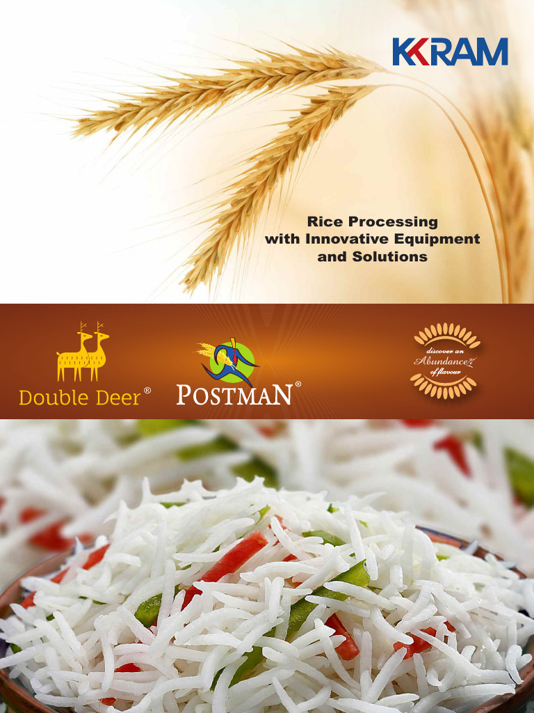 Rice Processing With Innovative Equipment and Solutions: Abundance ...