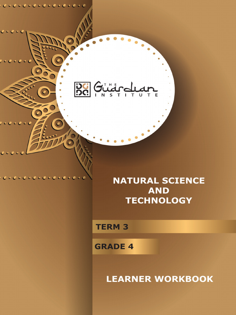 Grade 4 Natural Science Workbook Term 3 | PDF | Foods | Plants