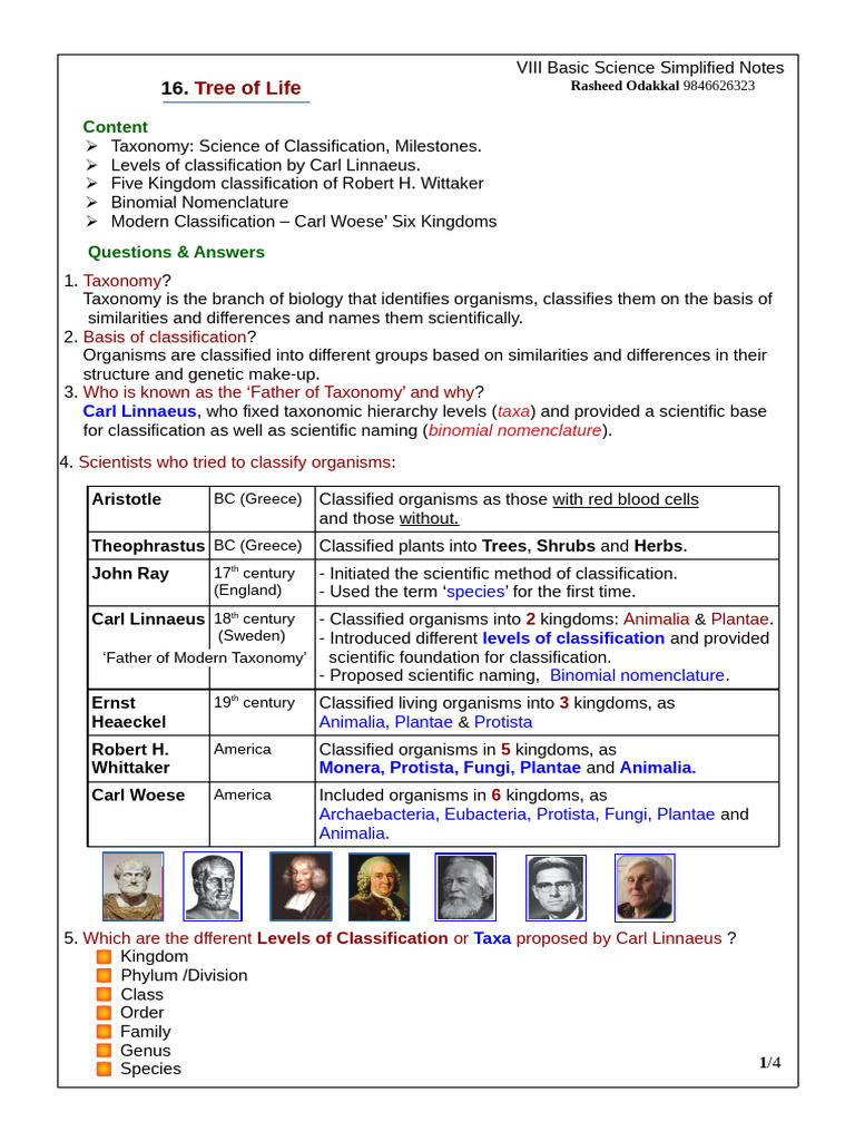 Taxonomy and Classification Overview | PDF | Taxonomy (Biology) | Biology