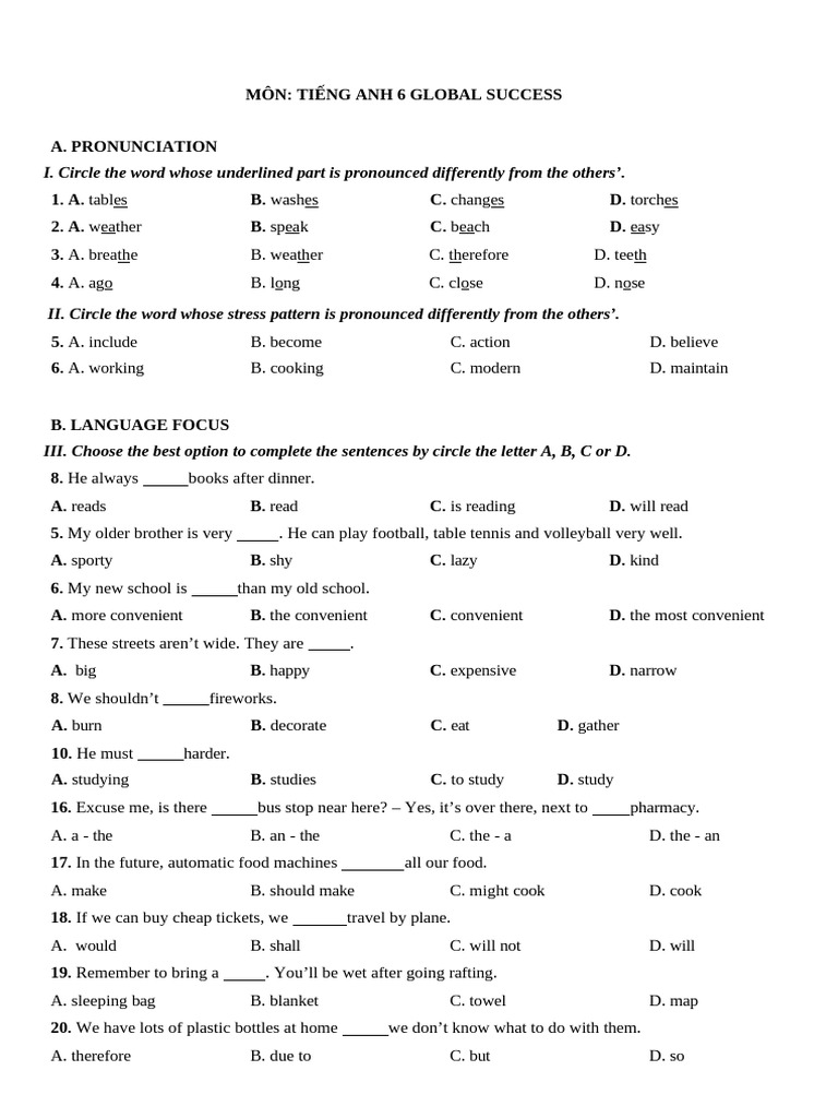 English 6 Global Success Exercises | PDF
