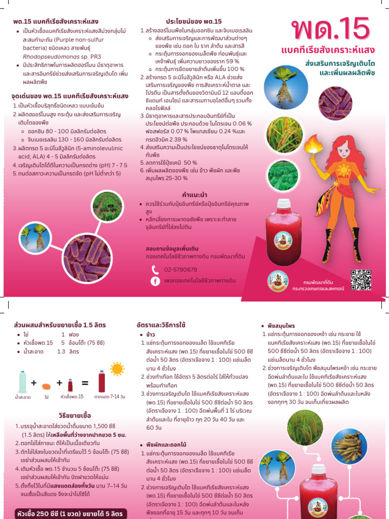 พด15 | PDF