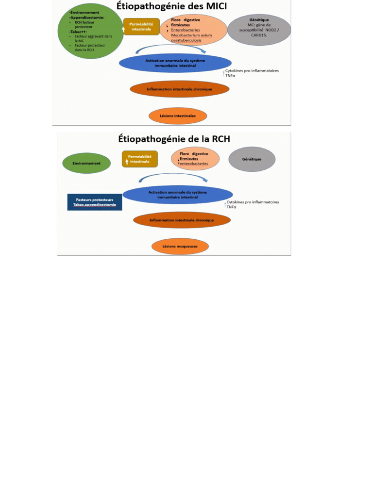 RCH | PDF