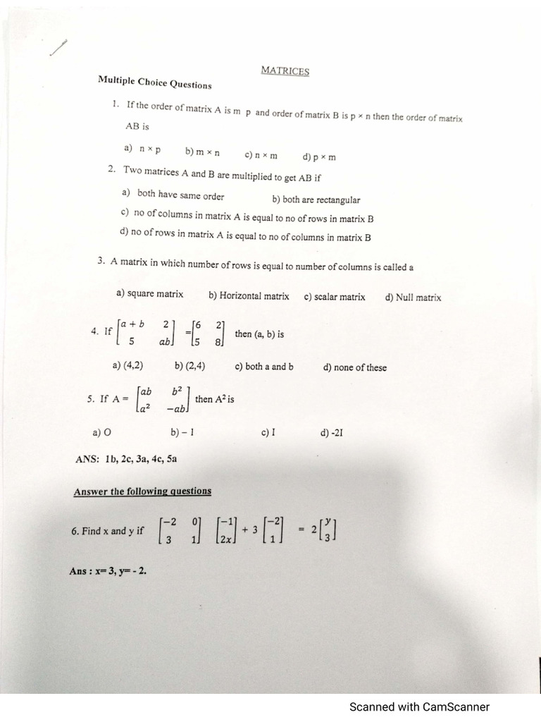 Matrices Worksheet | PDF