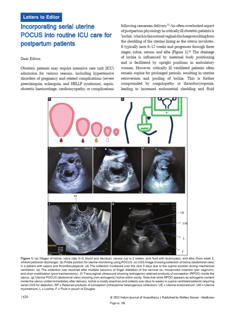 Uterine POCUS in ICU for Postpartum Care | PDF | Childbirth | Intensive ...