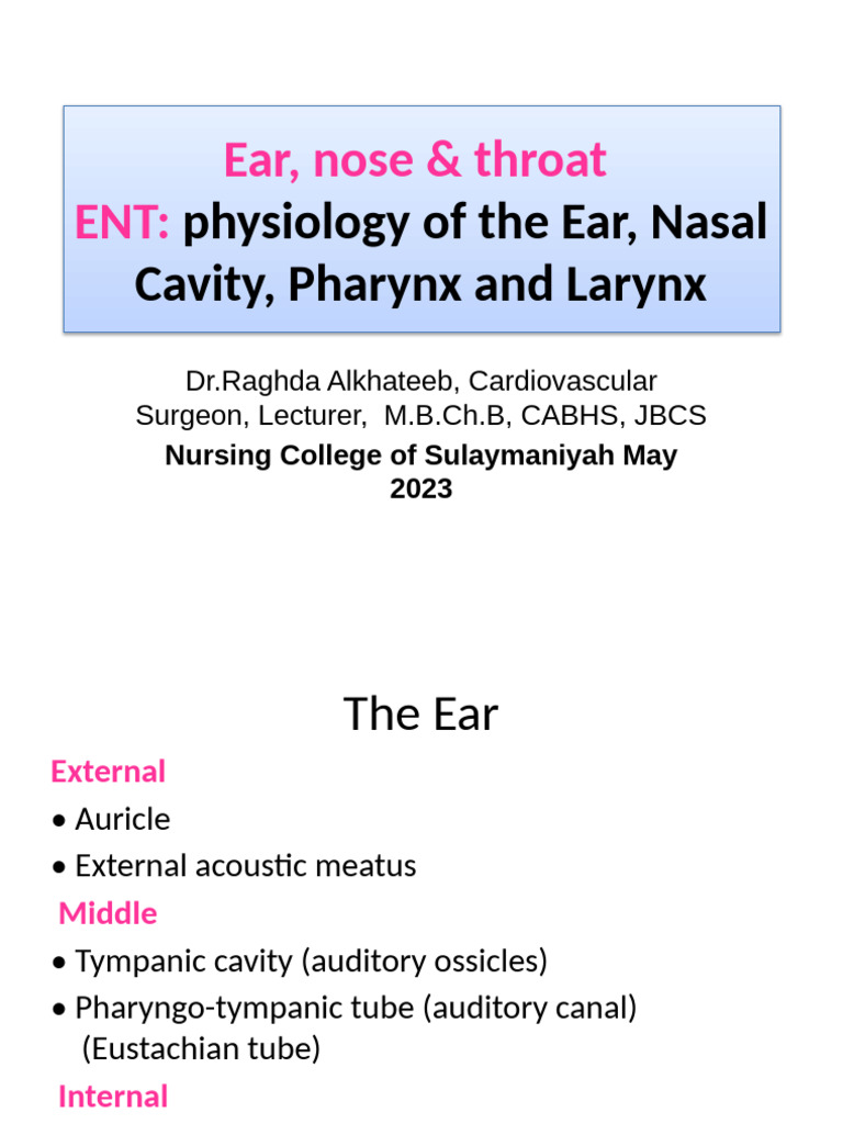 ENT Anatomy: Ear, Nose, Throat Overview | PDF | Ear | Larynx