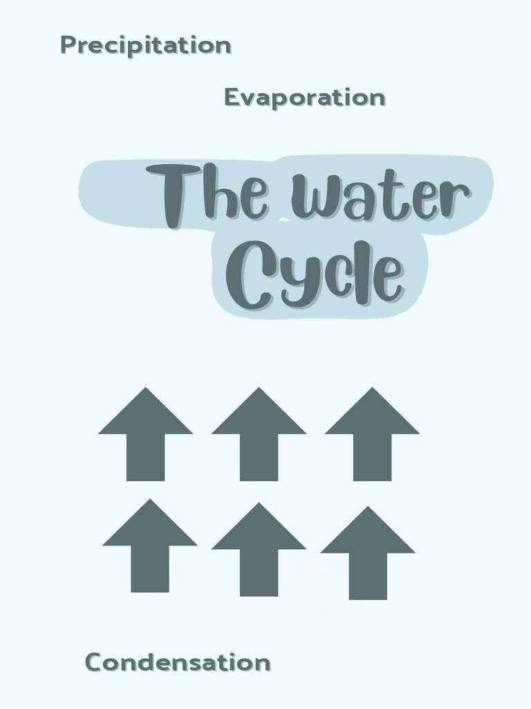Blue Illustrative The Water Cycle Science Infographic (8 X 13 CM) | PDF