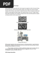 Download SEM TEMdoc by Lyria Anandari SN95980070 doc pdf