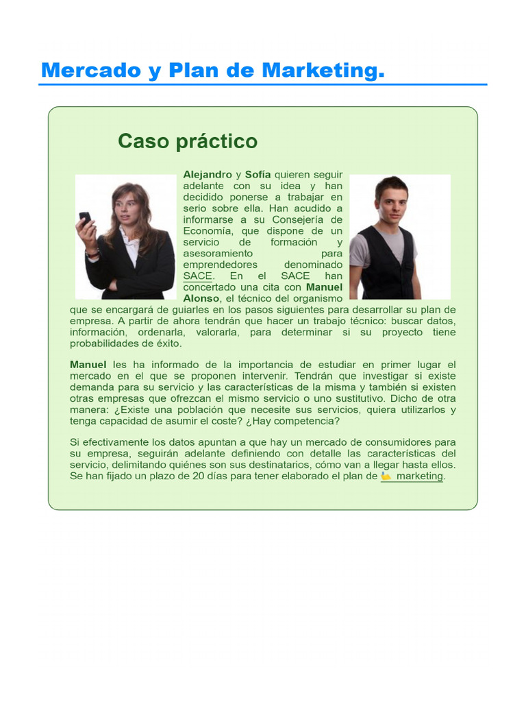Mercado y Plan de Marketing. | PDF