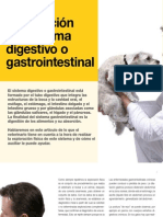 Av17 Exploración Del Sistema Digestivo o Gastrointestinal