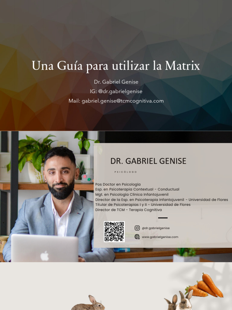 Una Guía para Trabajar La Matrix | PDF | Psicoterapia | Terapia