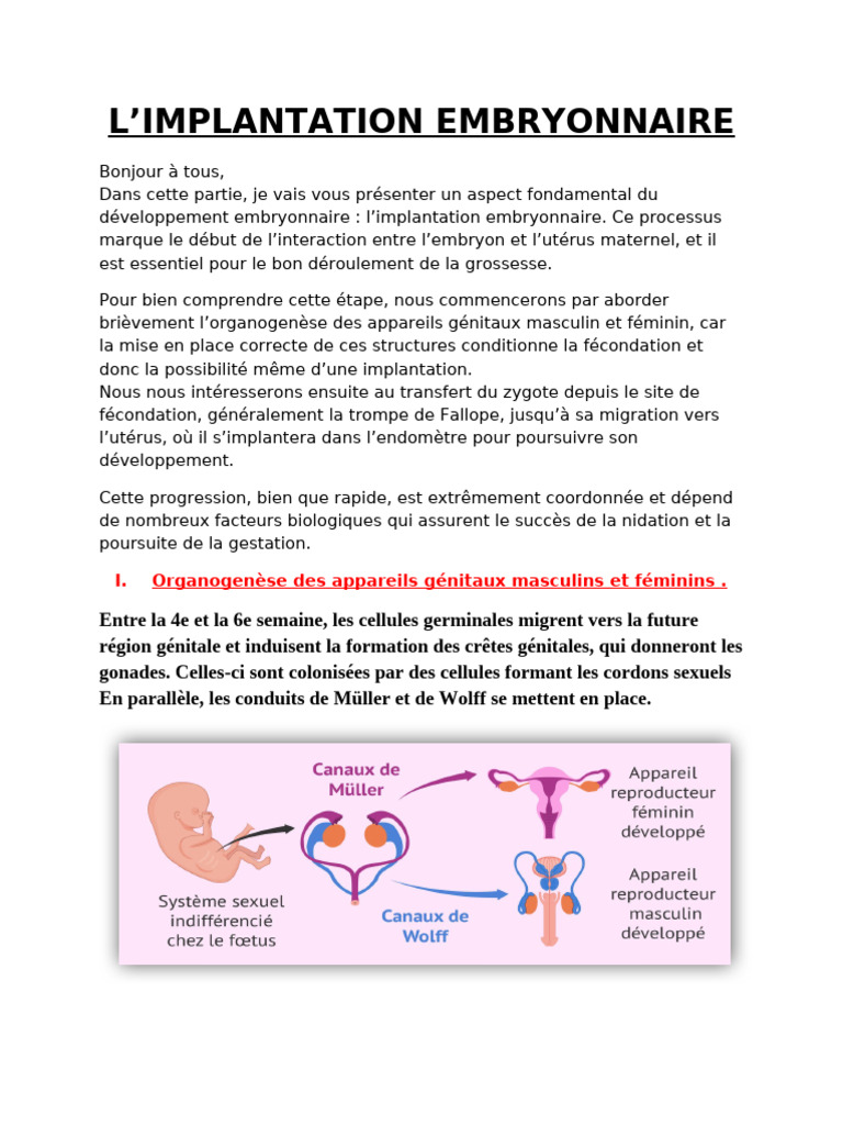 Comprendre l'implantation embryonnaire | PDF