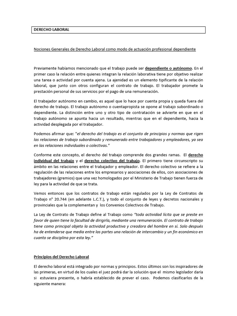 Introducción al Derecho Laboral en Argentina | PDF | Derecho laboral ...