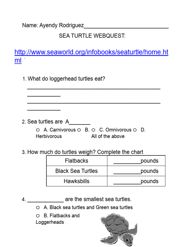Edited - Ayendy Rodriguez-Mercado - WebquestAboutSeaTurtles-1 | PDF
