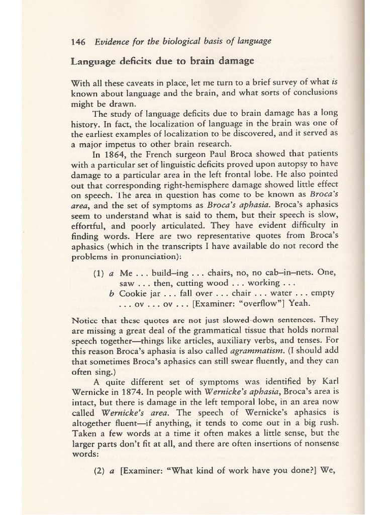 Language and The Brain | PDF