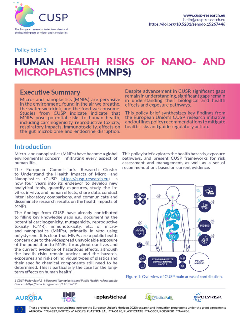 CUSP Policy Brief 3 | PDF | Risk | Risk Assessment