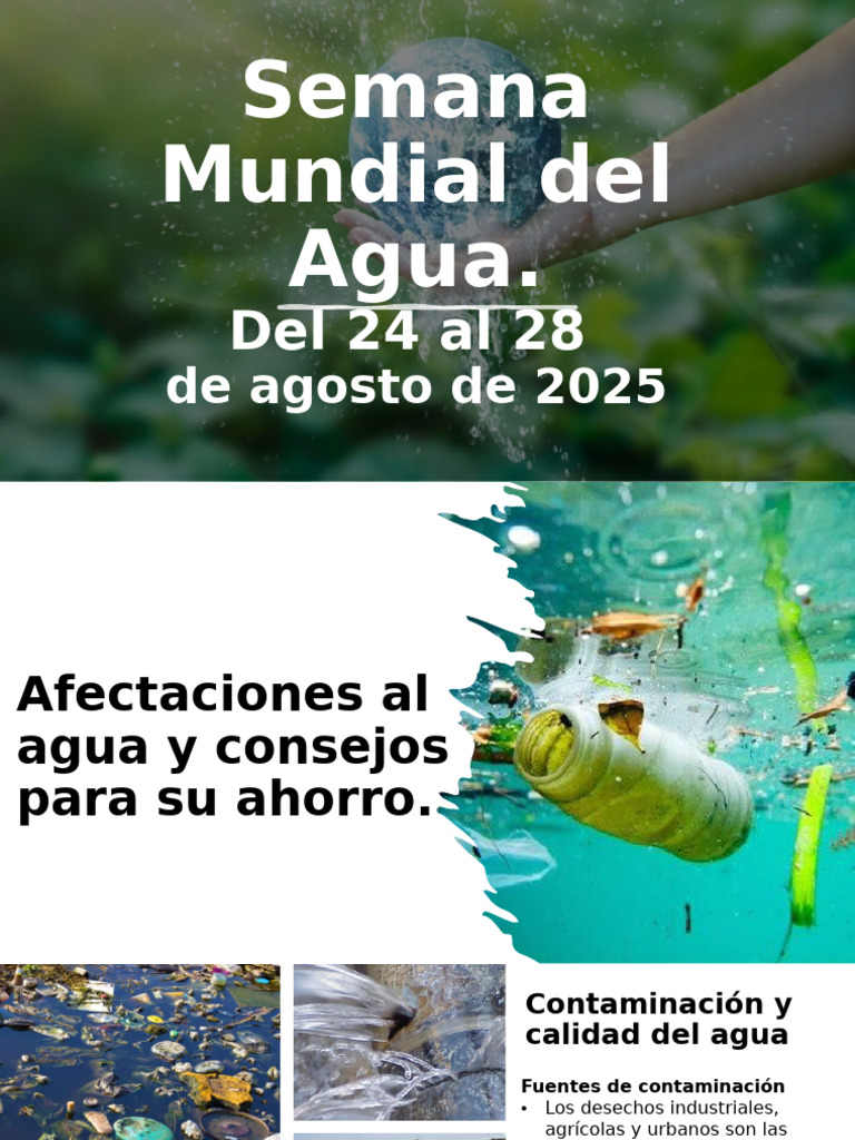 Semana Mundial Del Agua 26 Al 29 Agos | PDF | Agua | Contaminación