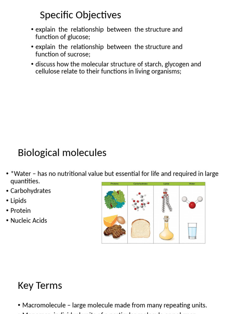 Understanding Biological Molecules and Their Functions | PDF ...