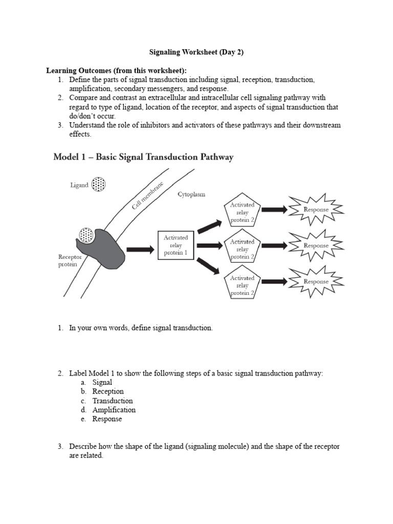Signal Transduction Pathway Overview | PDF | Cell Signaling | Signal ...