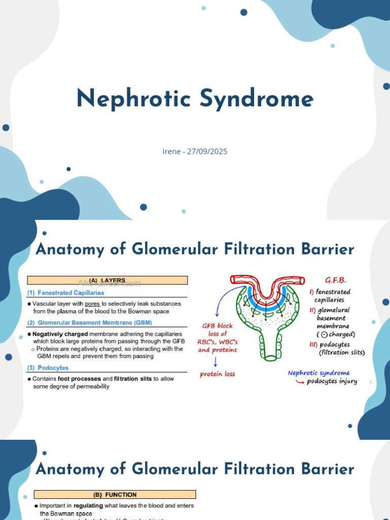Nephrotic Syndrome Overview and Treatment | PDF