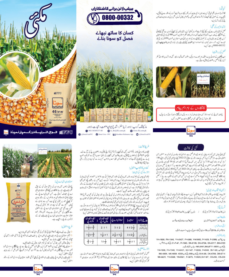 Maize 1 | PDF