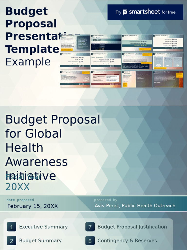 Global Health Budget Proposal Template | PDF | Budget | Expense