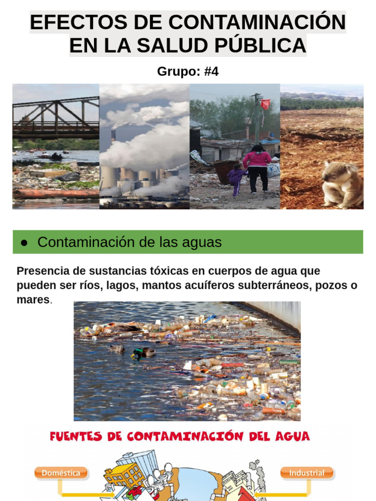 efectos-de-la-contaminaci-n-en-salud-pdf