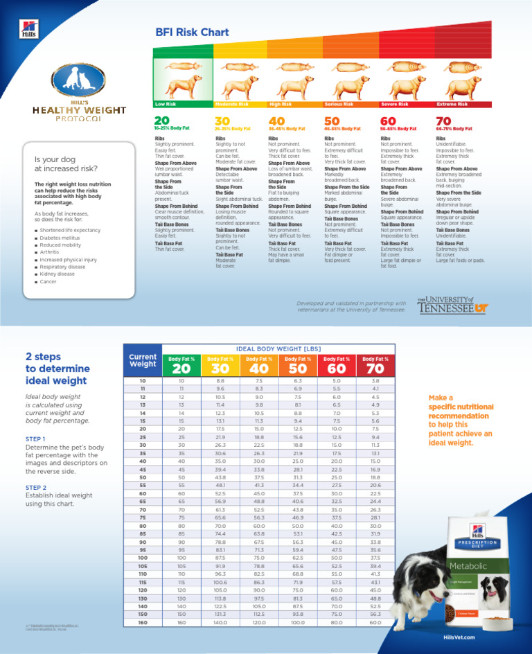Dog Body Fat Risk Assessment Guide | PDF | Abdomen | Waist