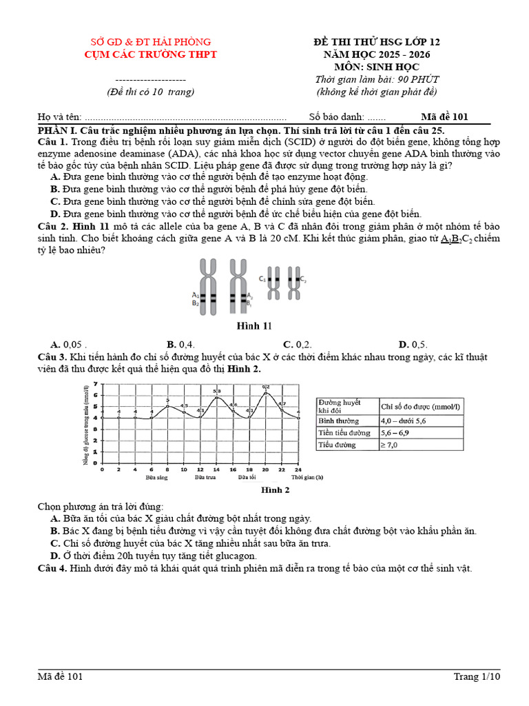 Ma de 101 | PDF