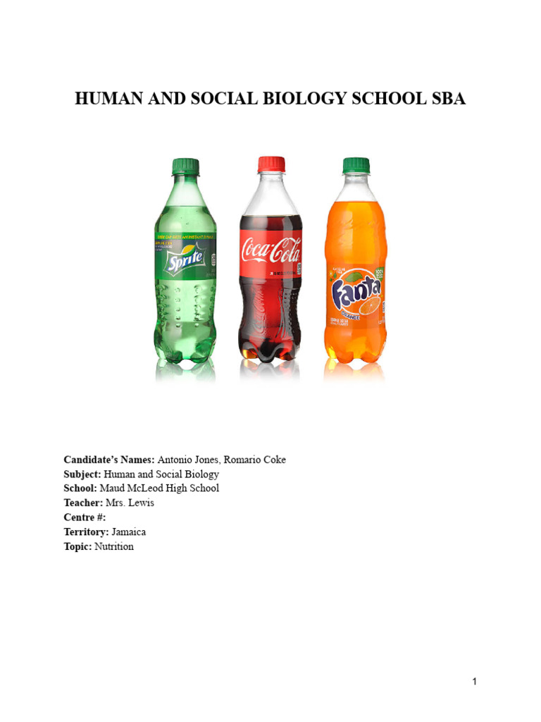 HSB SBA | PDF | Soft Drink