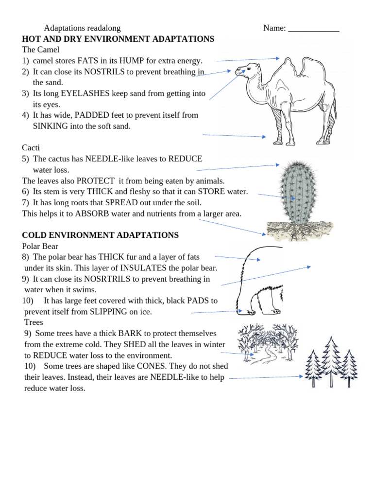adaptations-readalong-ak | PDF | Predation | Fruit