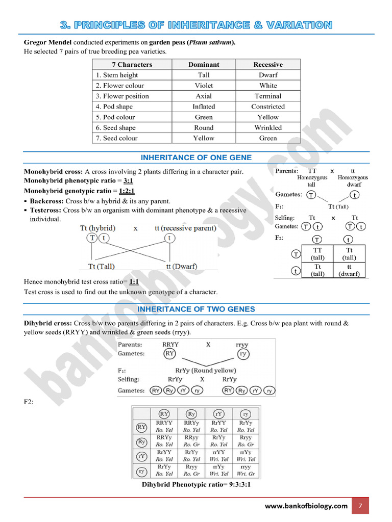 Exam Capsule Notes | PDF | Flowers | Seed
