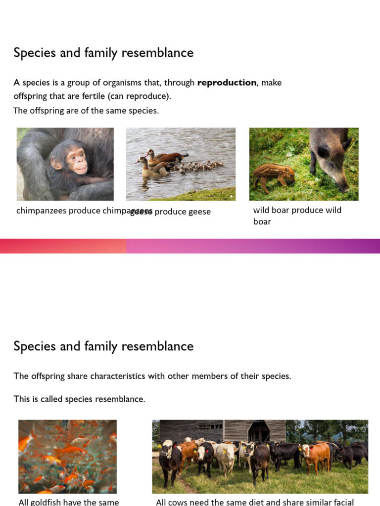 Understanding Species and Family Resemblance | PDF | Genetics | Heredity